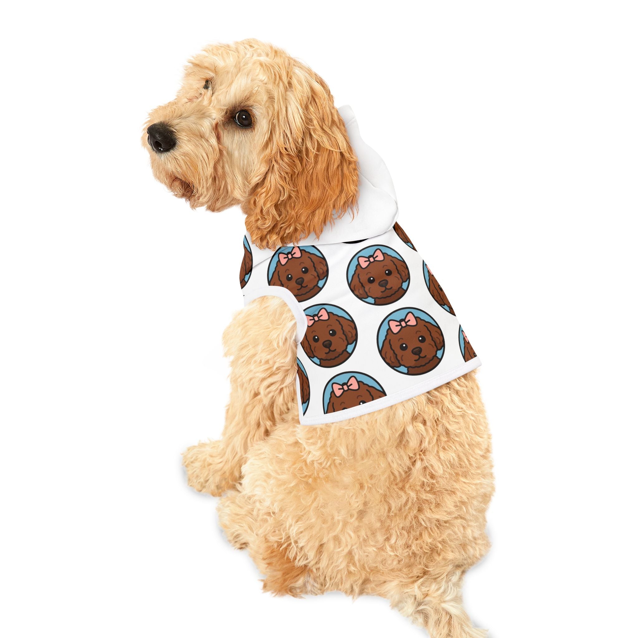 Pet Hoodie