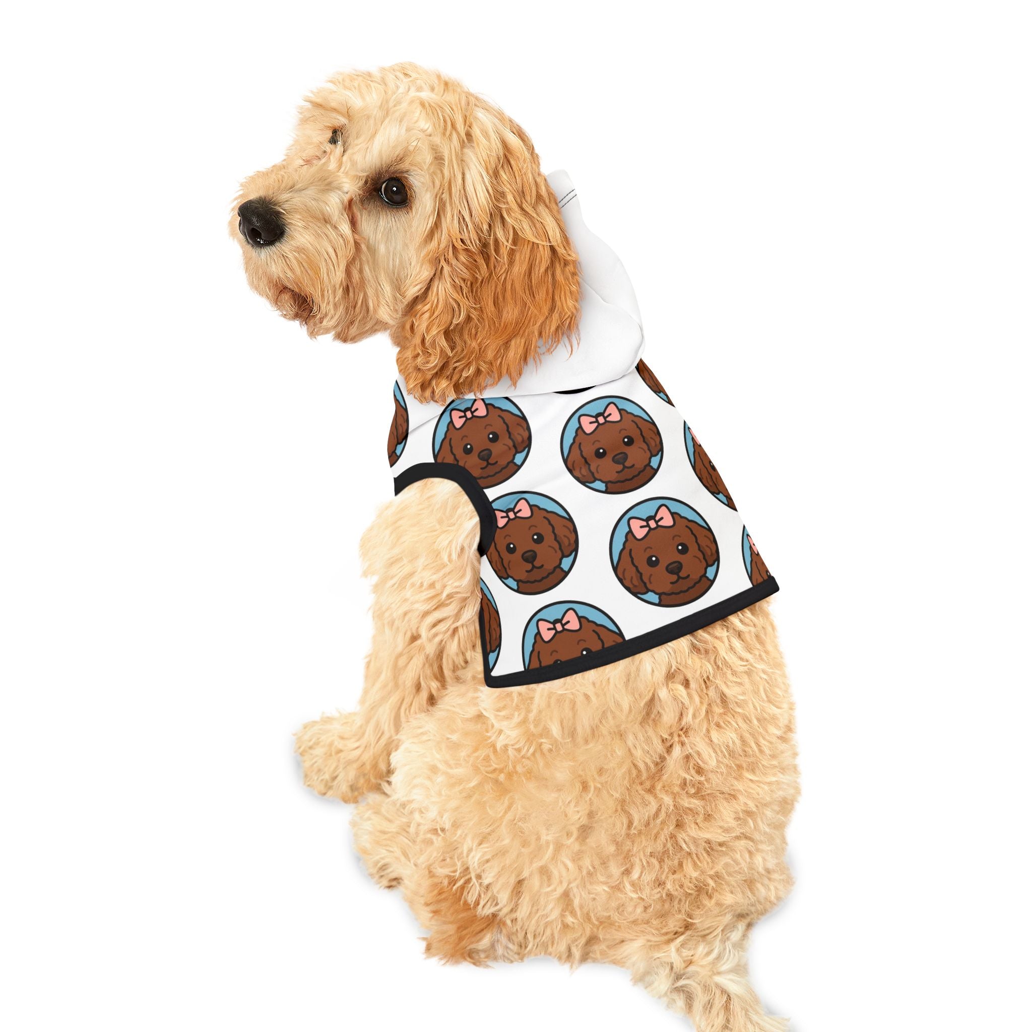 Pet Hoodie